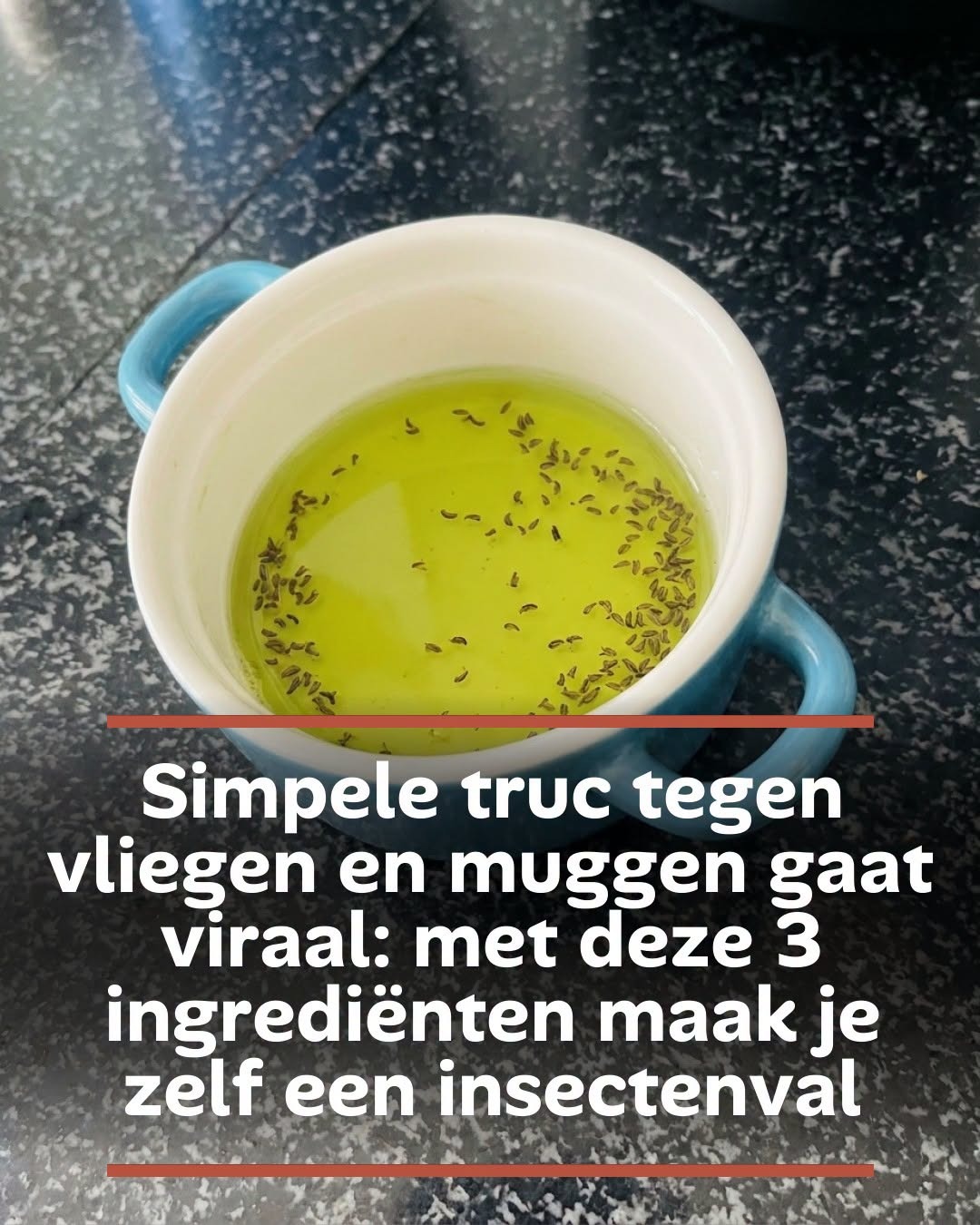 Simpele truc tegen vliegen en muggen gaat viraal: met deze 3 ingrediënten maak je zelf een insectenval