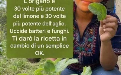 Oregano is 30 keer krachtiger dan citroen en 30 keer krachtiger dan aglio. Slechte batterij en schimmels. Je ziet de rijst in dezelfde positie als bij “OK”.