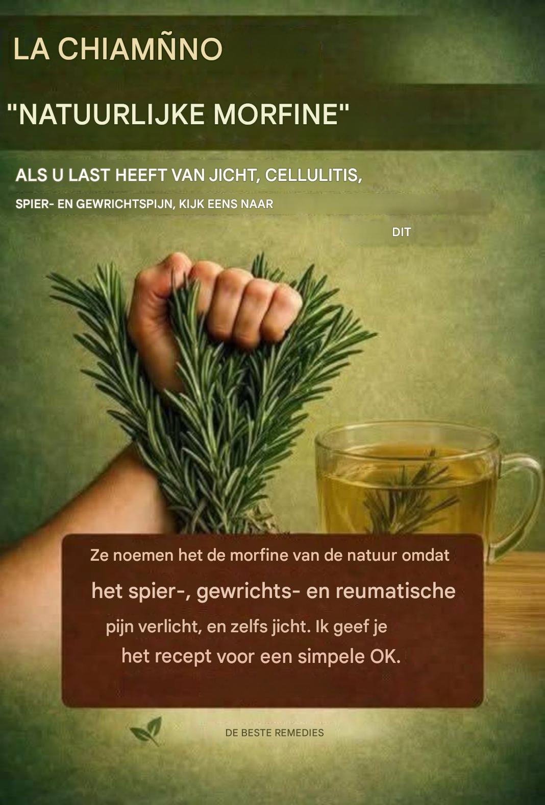 Het is de helende kracht van de rozemarijn: de “natuurlijke morfine” die het best geconsumeerd kan worden.