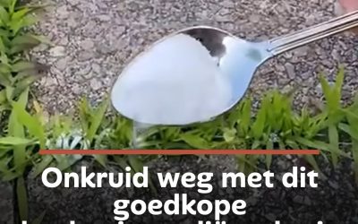 Onkruid weg met dit goedkope keukeningrediënt dat je al in huis hebt (zonder gif)