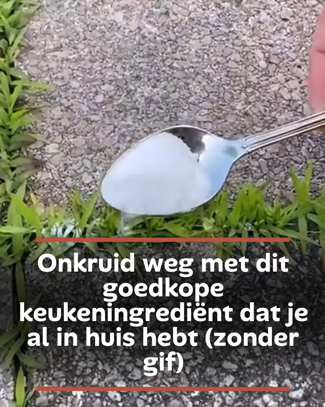 Onkruid weg met dit goedkope keukeningrediënt dat je al in huis hebt (zonder gif)