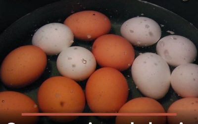Stop met eieren koken in de pan: 5 geniale tips voor perfecte eitjes