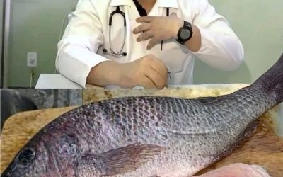 Hoe vaak moet je vis eten om voldoende omega-3-vetzuren binnen te krijgen? Een diëtist geeft antwoord.