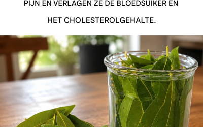 Gebruik laurierblaadjes om te profiteren van hun talloze geneeskrachtige eigenschappen.