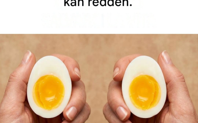7 redenen om minstens één ei per dag te eten