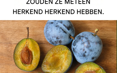 Pruimen: vochtafdrijvend, energiegevend, ontgiftend en verminderen rimpels