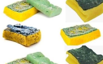 Oude sponzen: milieuvriendelijke tuintips die uw manier van water geven zullen veranderen