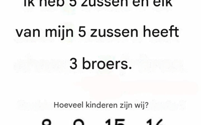*Logische puzzel: Hoeveel kinderen telt dit gezin?*
