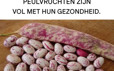 Klein, smakelijk en krachtig: alle voordelen van borlottibonen.