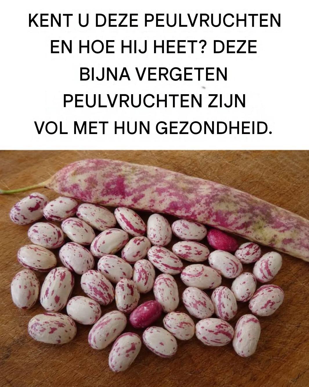 Klein, smakelijk en krachtig: alle voordelen van borlottibonen.