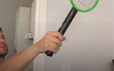 Gouden tip: zó houd je vliegen uit je huis