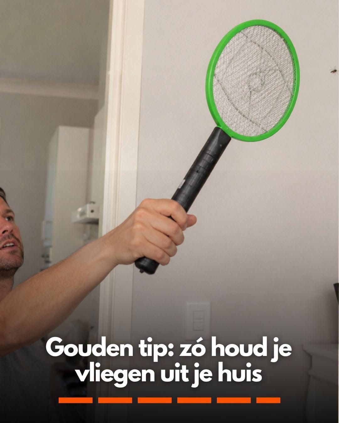 Gouden tip: zó houd je vliegen uit je huis
